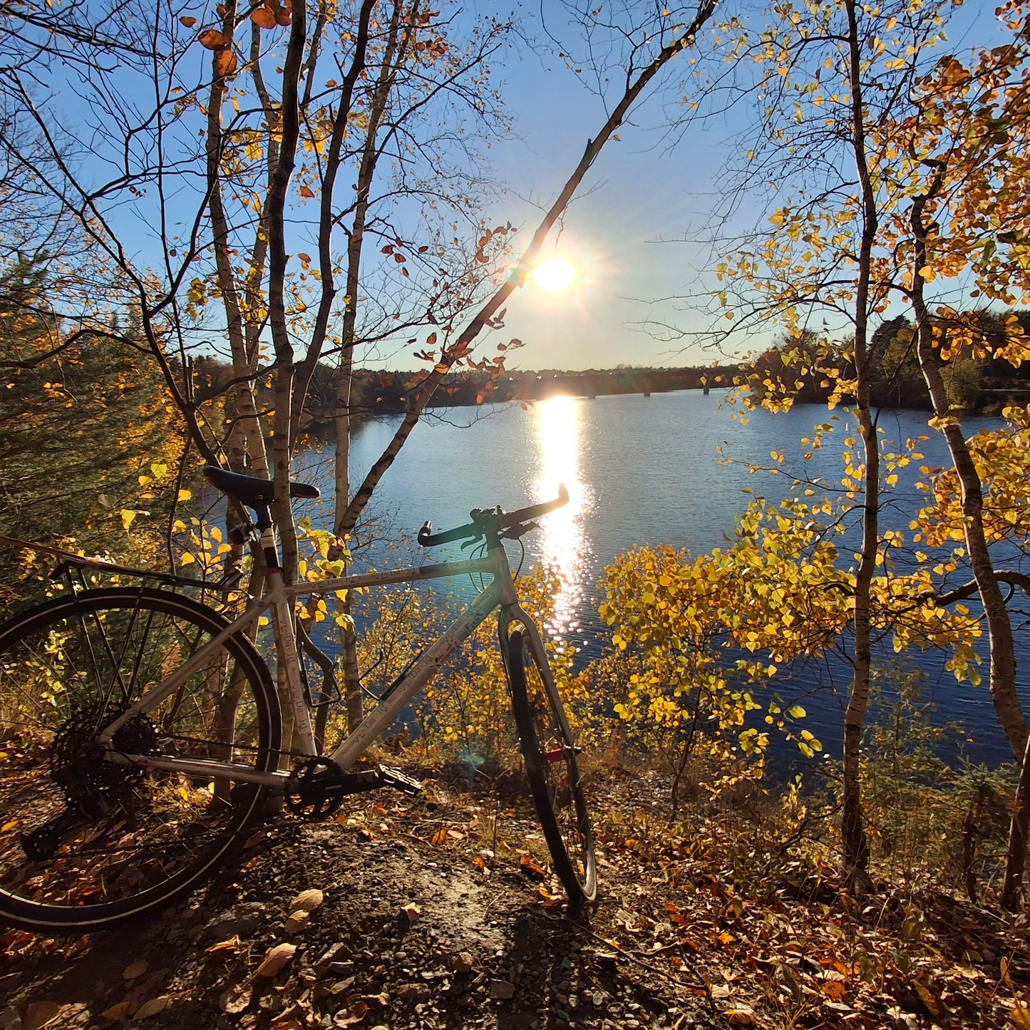 2024-10-17 16:57 Trouve le Rapido vélo(Vue 2.3)