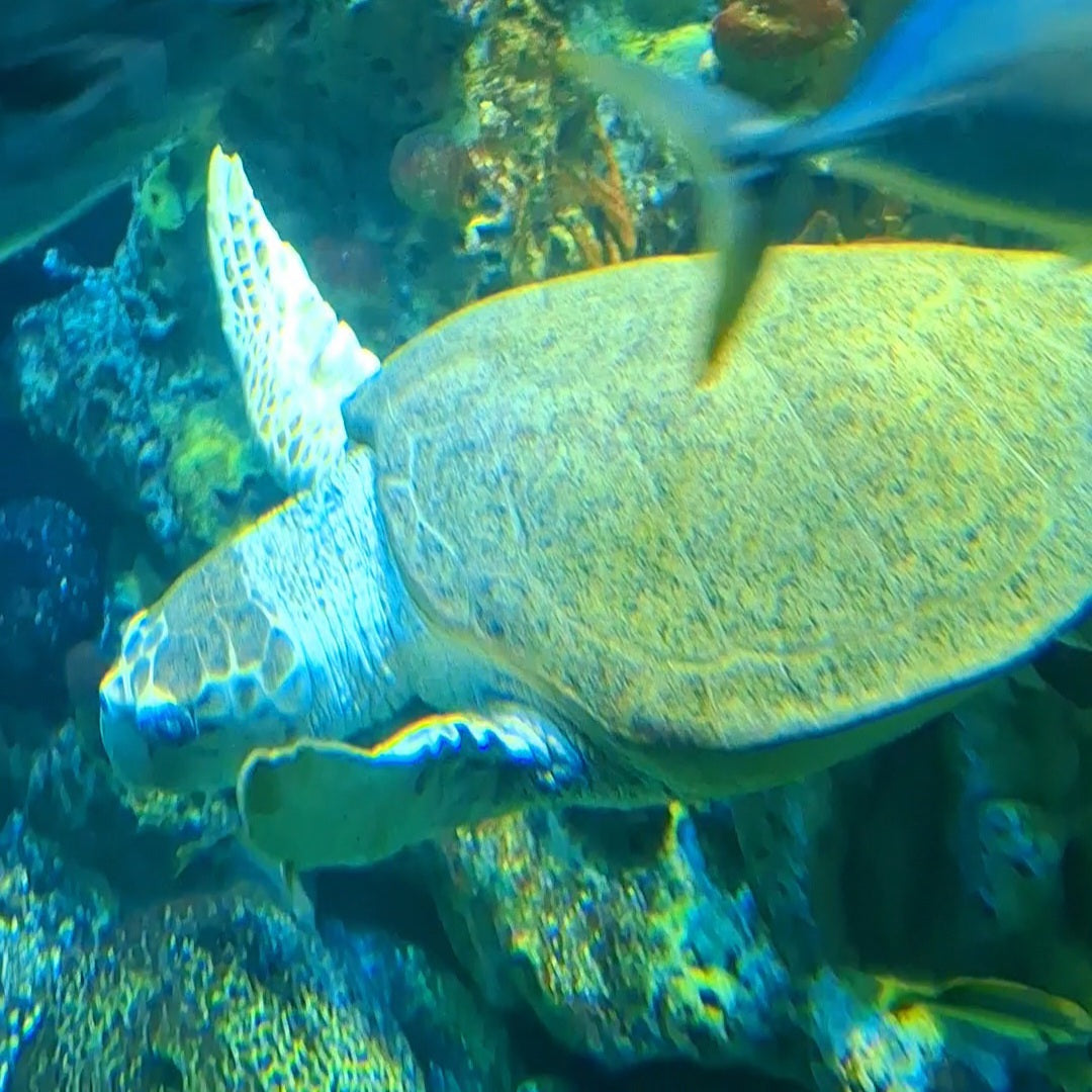 Boston 2025 (Jour 1)