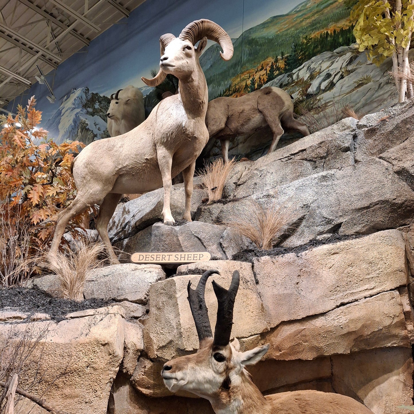 Bass Pro Shops