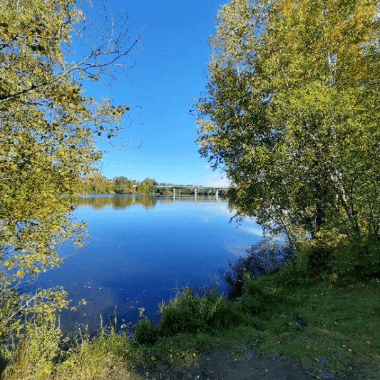 2022-09-30 (Vue H1) #animation